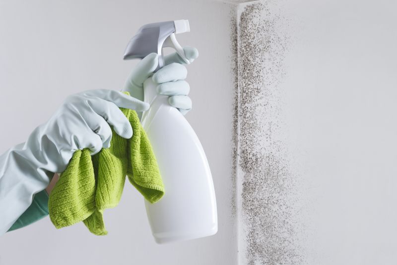 Removing Mold and Mildew