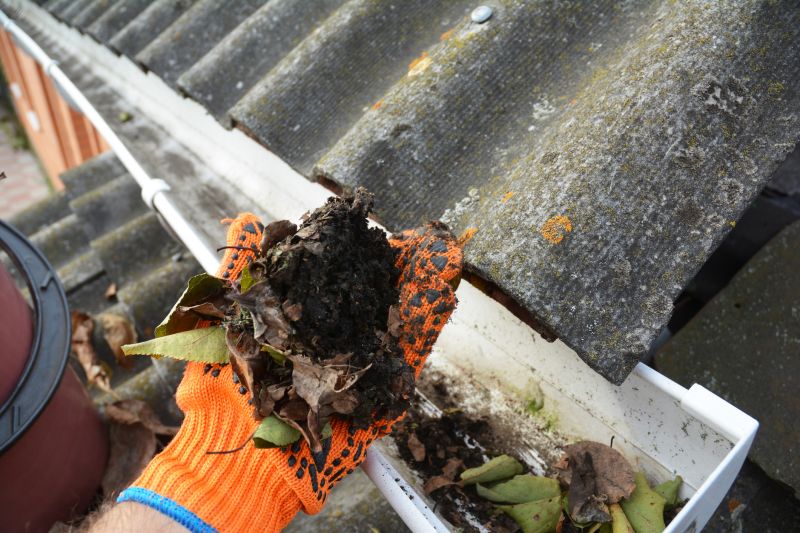Gutter Cleaning in Annapolis, MD