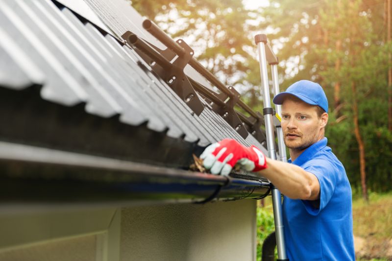 Roof Gutter Cleaning in Bergen County, NJ
